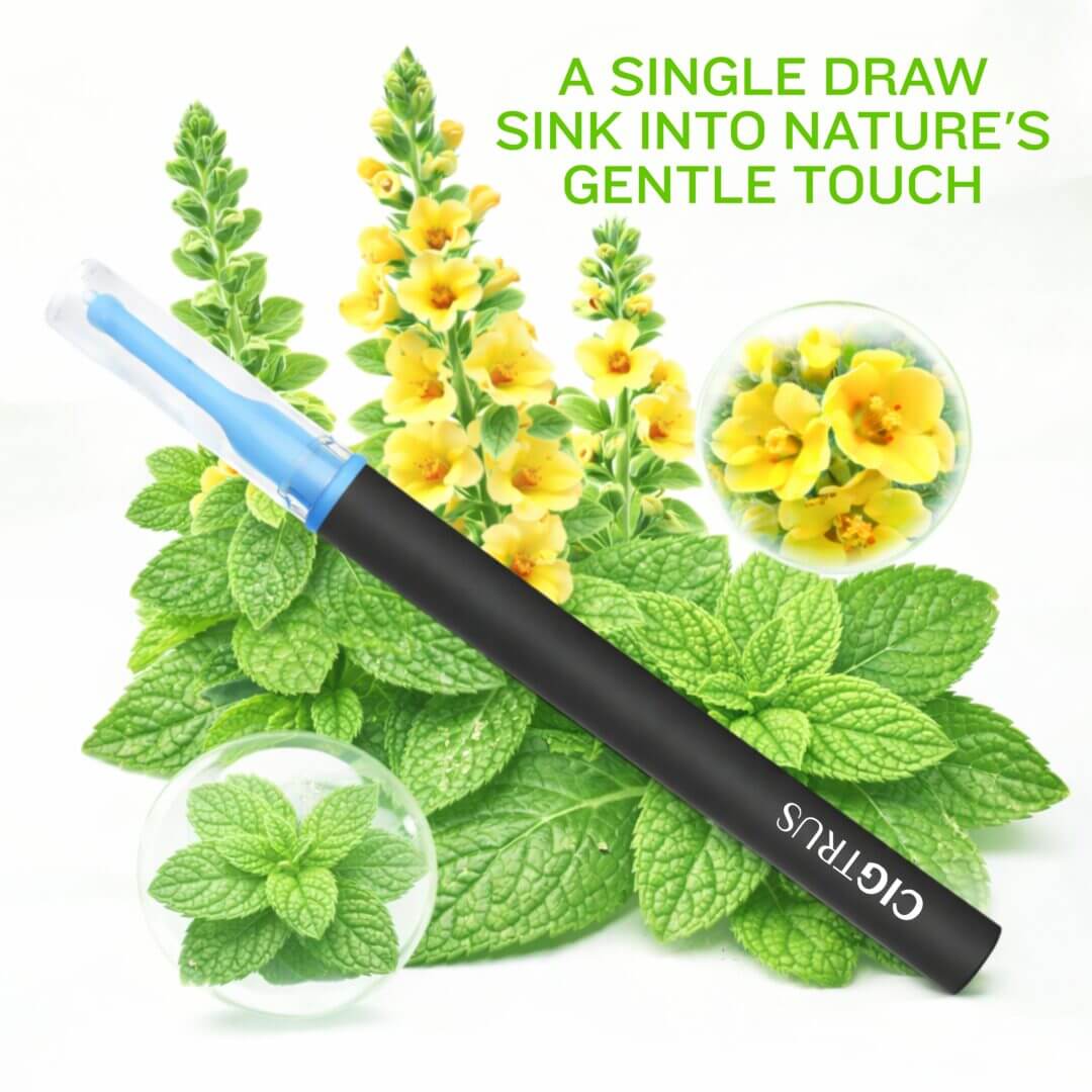 Cigtrus Mullein Leaf Icy Peppermint 3 Pack | Nicotine-Free Smokeless Inhaler | Botanical Flavored Air - Image 12